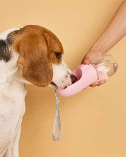 Water Bottle