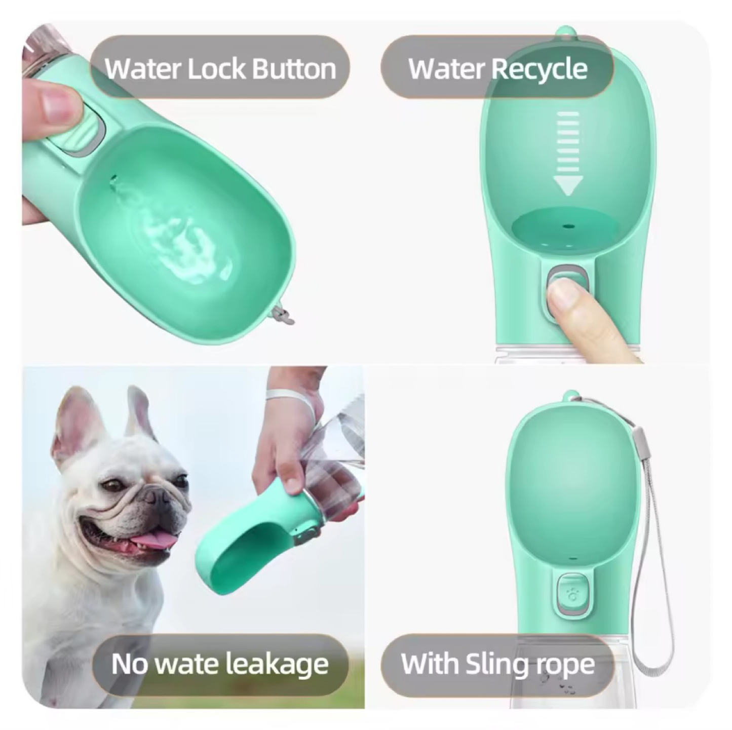 Water Bottle