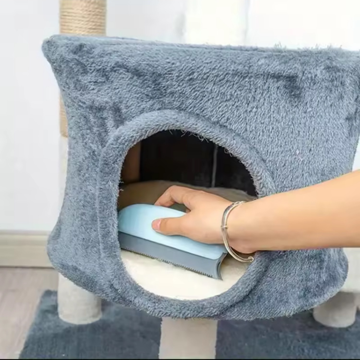 Pet Hair Cleaning