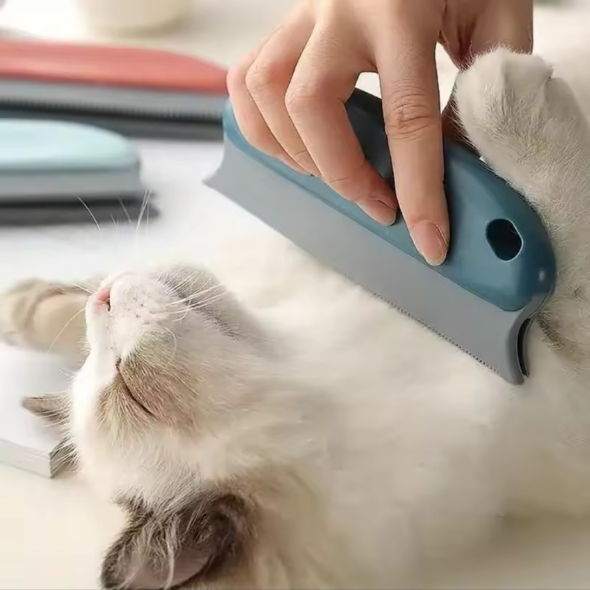 Pet Hair Cleaning