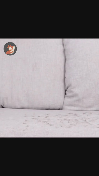Pet Hair Cleaning